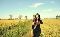 华为pura80起售价4199元